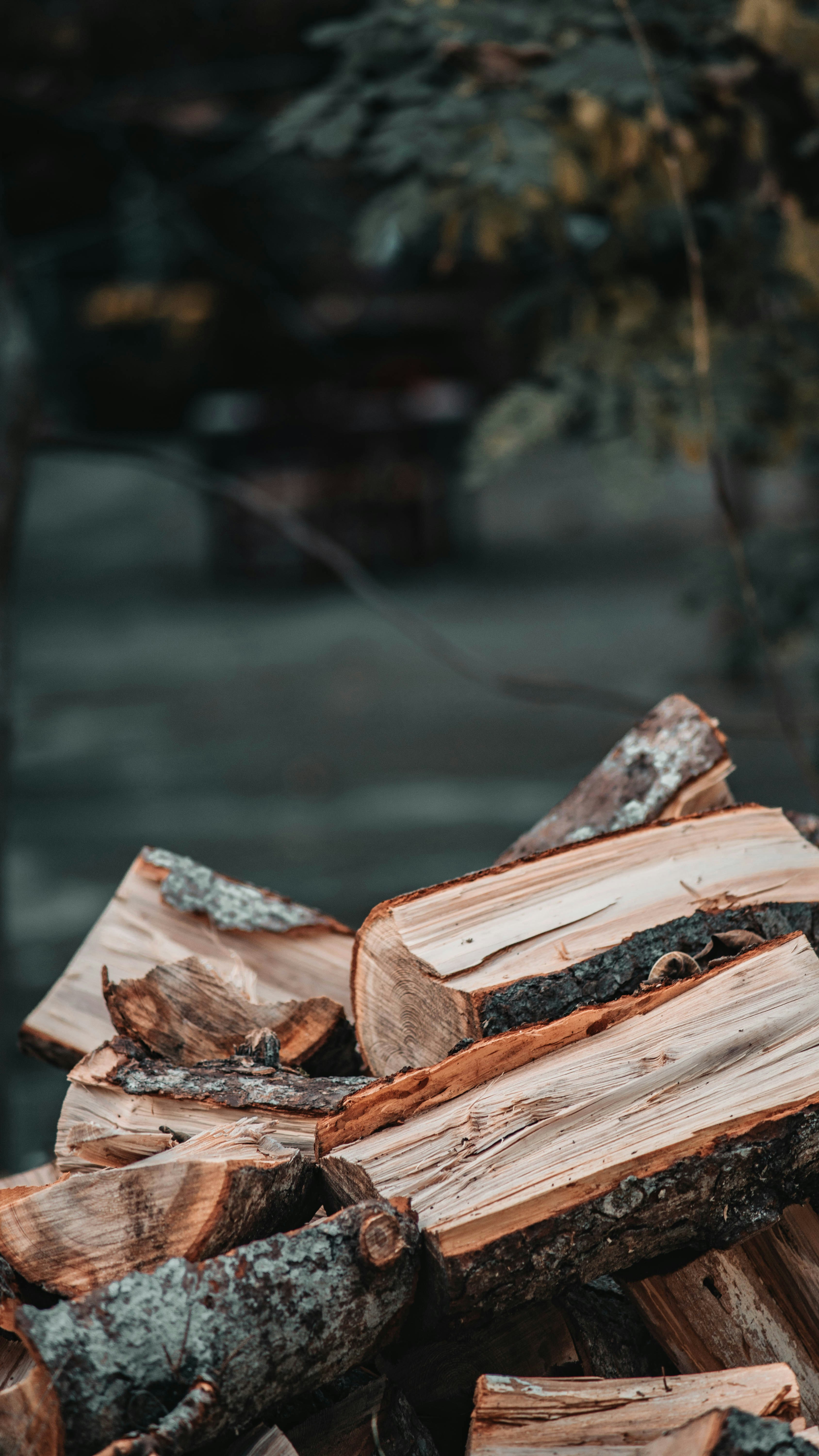 Split firewood stacked outdoors at dusk