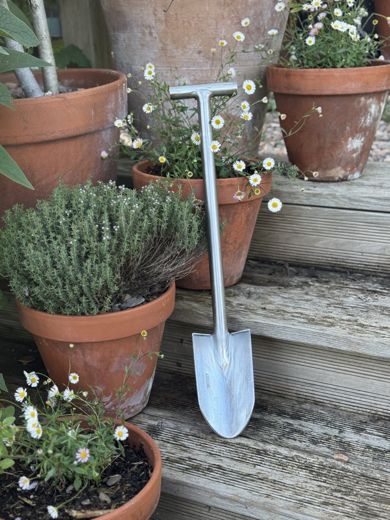 Hand tools laid out on a potting bench
